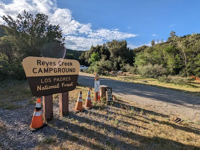 Reyes Creek Campground Picture 6