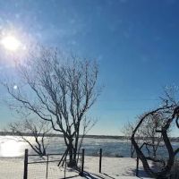 Fort Phantom Lakeside RV Park ico