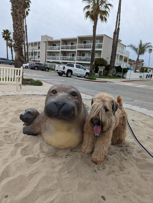 Carpinteria State Beach Picture 9