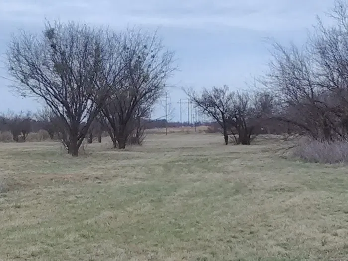 Big Tree Mobile Home Park Picture 4