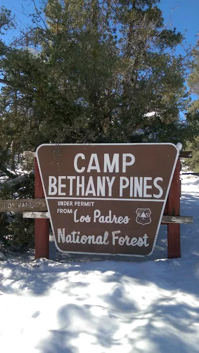Bethany Pines Picture 8