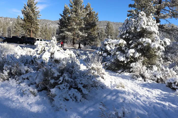 Saint Nichalos Campground Picture 3