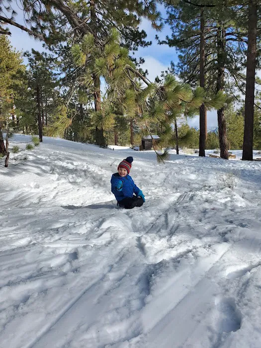 McGill Campground Picture 4