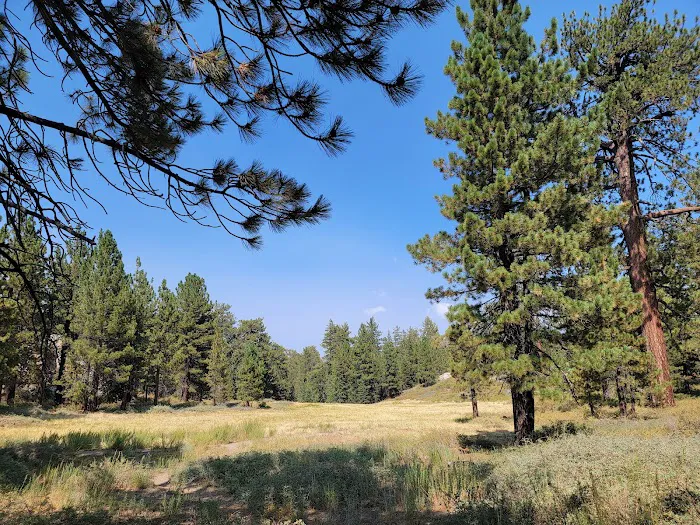 McGill Campground Picture 3