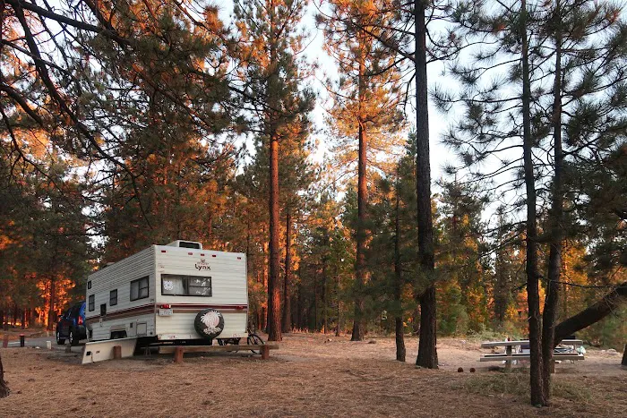 McGill Campground Picture 1