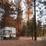 McGill Campground