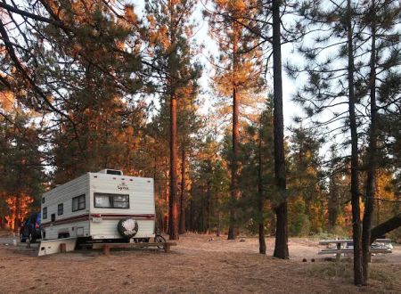 McGill Campground