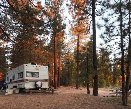 McGill Campground