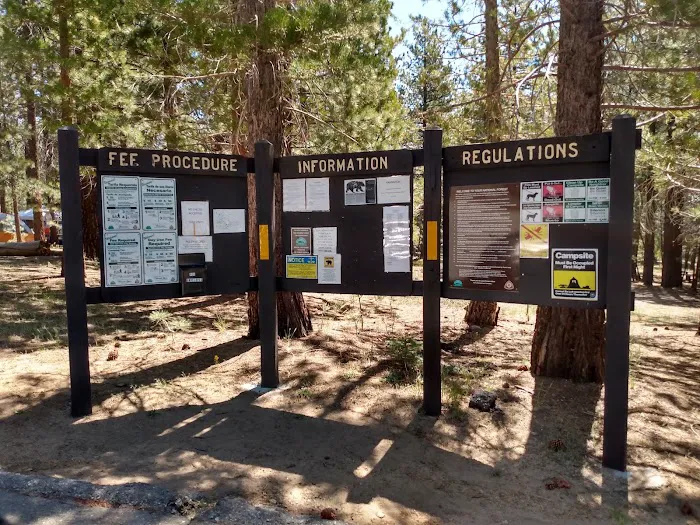 McGill Campground Picture 9