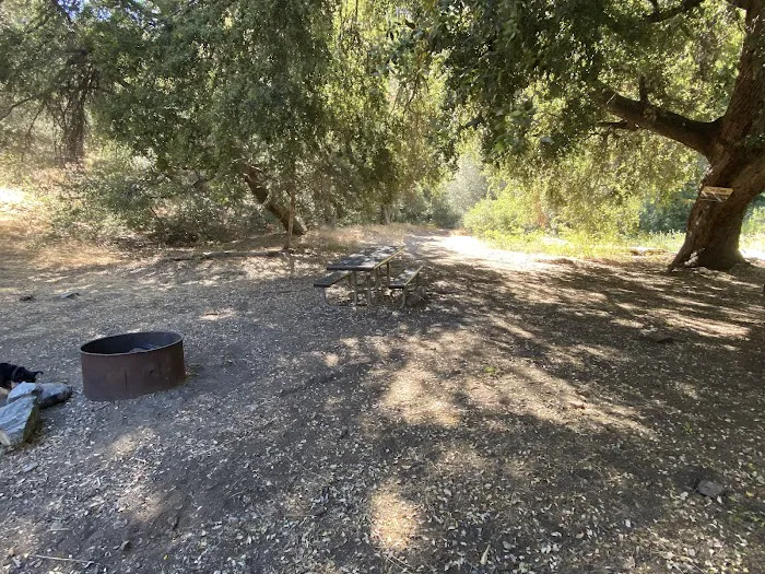 Salt Creek Campground Picture 3