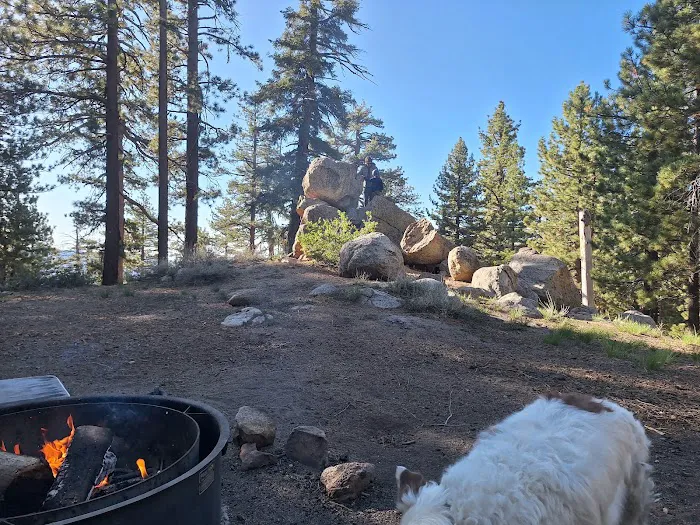 Mount Pinos Campground Picture 1