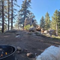 Mount Pinos Campground ico