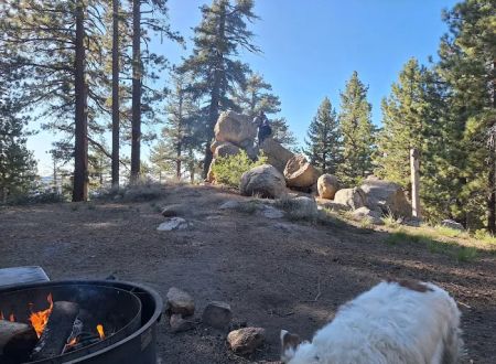 Mount Pinos Campground