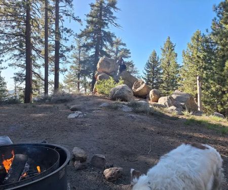 Mount Pinos Campground