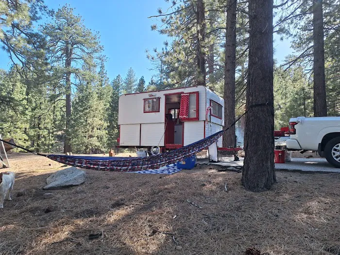 Mount Pinos Campground Picture 3
