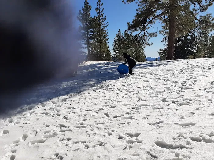 Mount Pinos Campground Picture 2