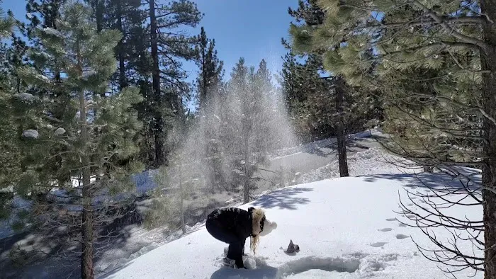 Mount Pinos Campground Picture 4