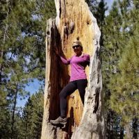 Chula Vista Walk-In Campground ico