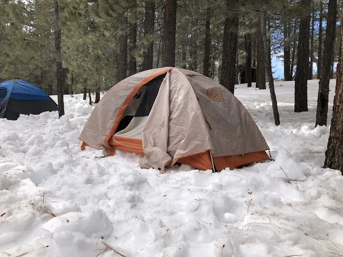 Chula Vista Walk-In Campground Picture 7