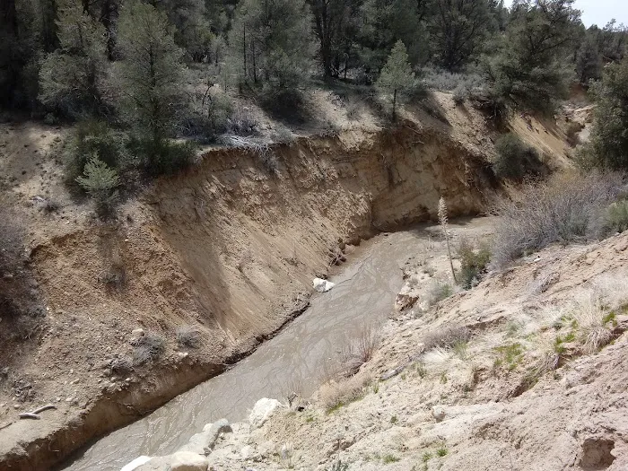 Dome Spring Campground Picture 3