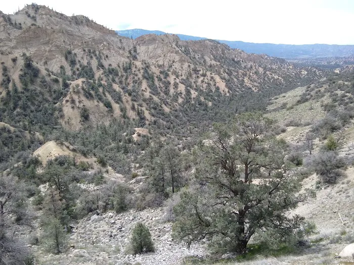 Dome Spring Campground Picture 2