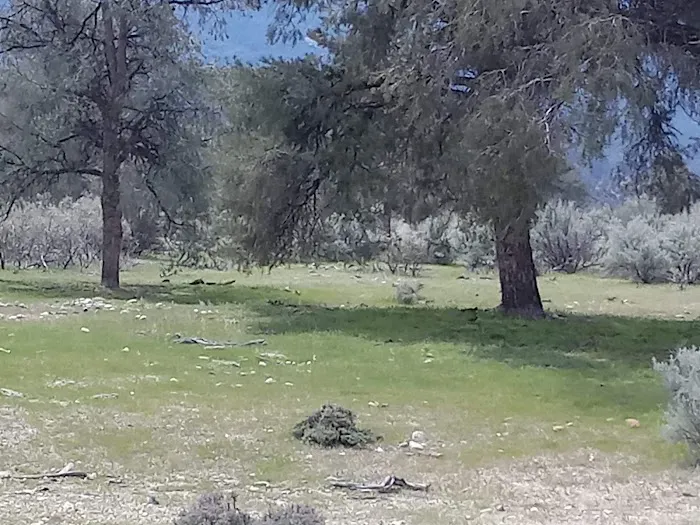 Dome Spring Campground Picture 5
