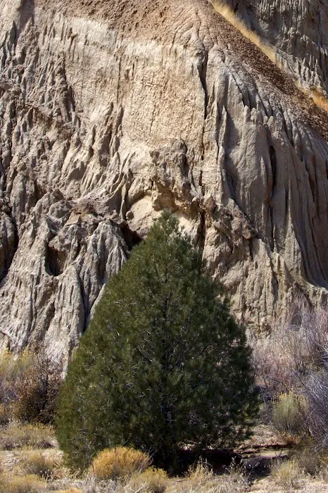 Dome Spring Campground Picture 6
