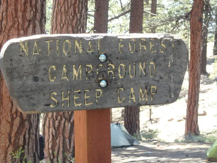 Sheep Campground Picture 8