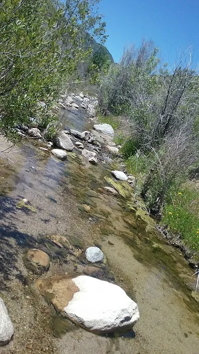 Rio Baranca Valle Group Campground Picture 6