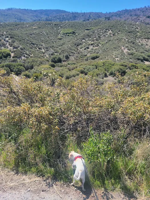 Old Mesa Campground Picture 8