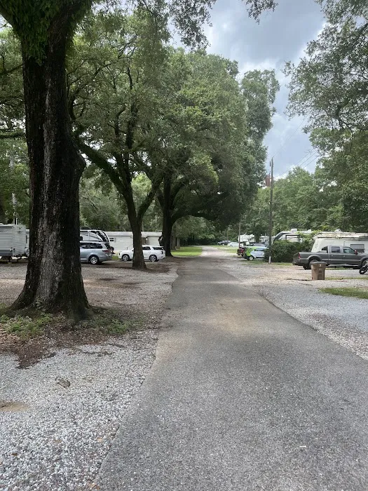 Shady Acres Campground Picture 3