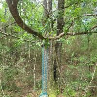 Rainbow Cove Camp Site ico