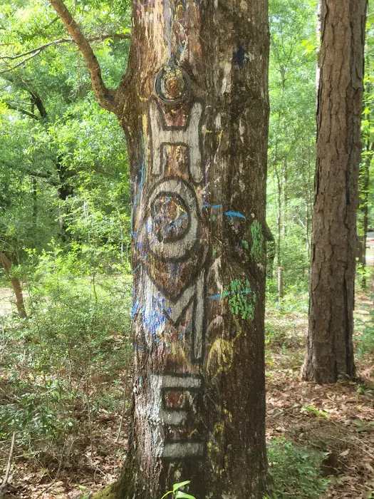 Rainbow Cove Camp Site Picture 2