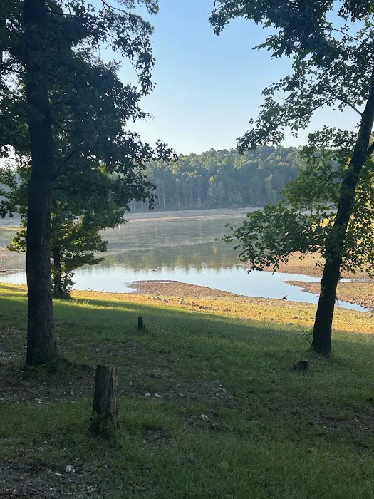Hawk Campgrounds Picture 3