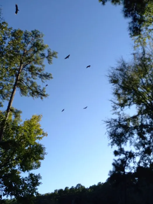 Hawk Campgrounds Picture 5