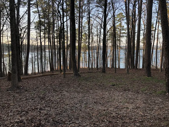 Deer Road Camping Area Picture 1