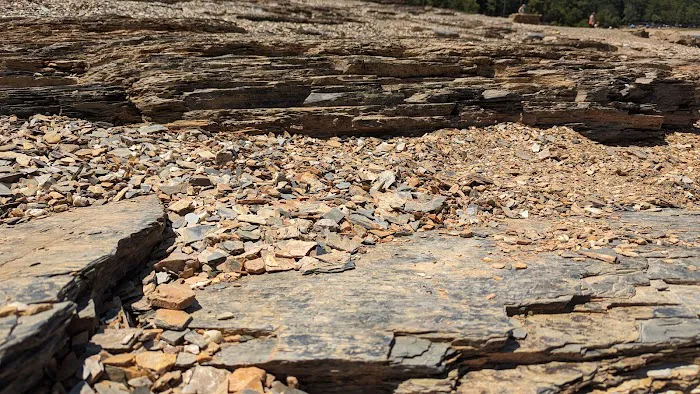 Reasnor Point Picture 3