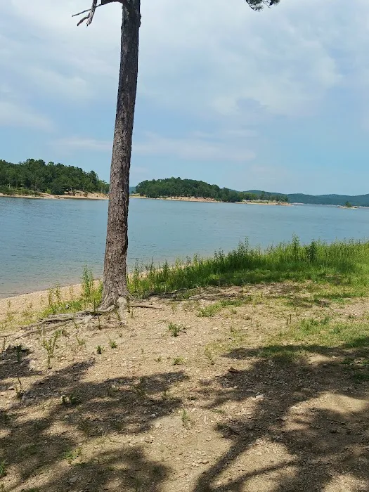 Reasnor Point Picture 7
