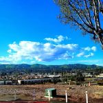 Capistrano Terrace