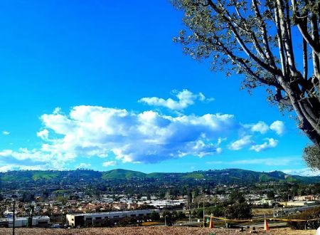 Capistrano Terrace