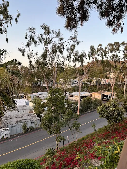 Capistrano Terrace Picture 4