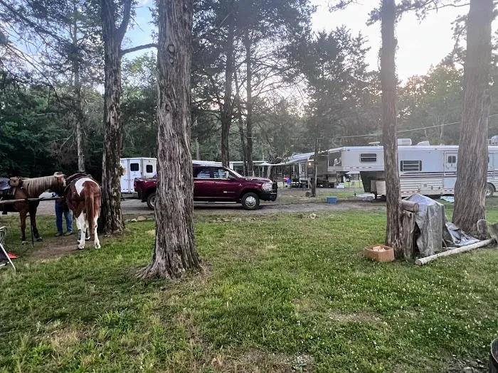 Half Ass Acres Picture 3
