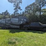 Piney Paradise