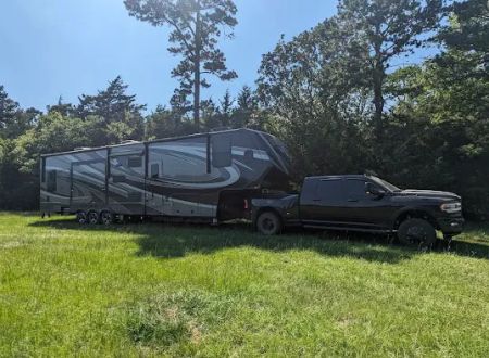 Piney Paradise