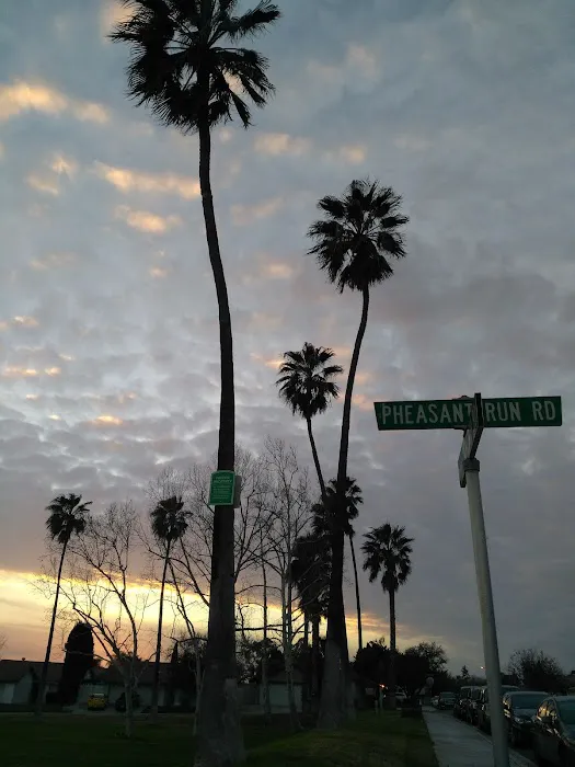 Jurupa Hills Cascade Picture 6