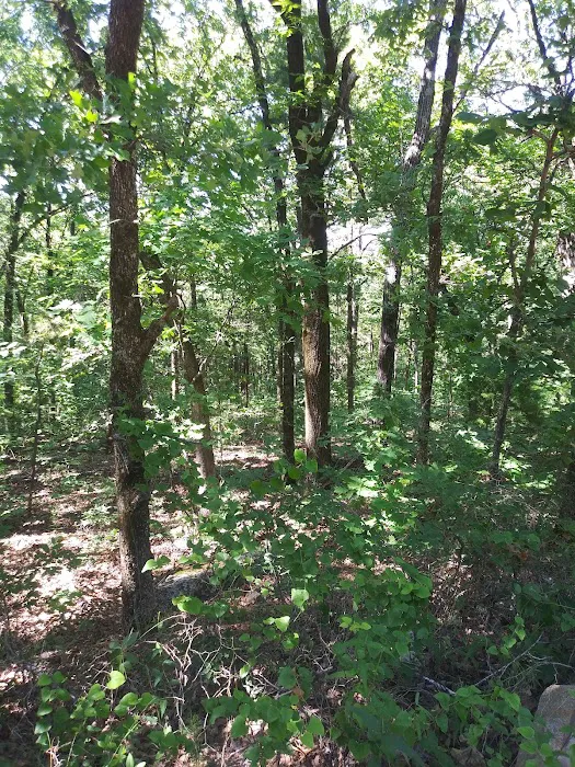 Winding Stair Campground Picture 8