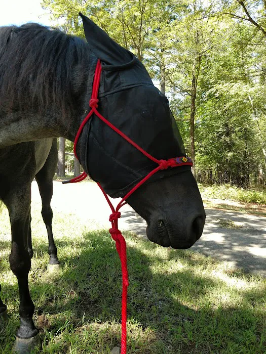 Cedar Lake Equestrian Campground Picture 7