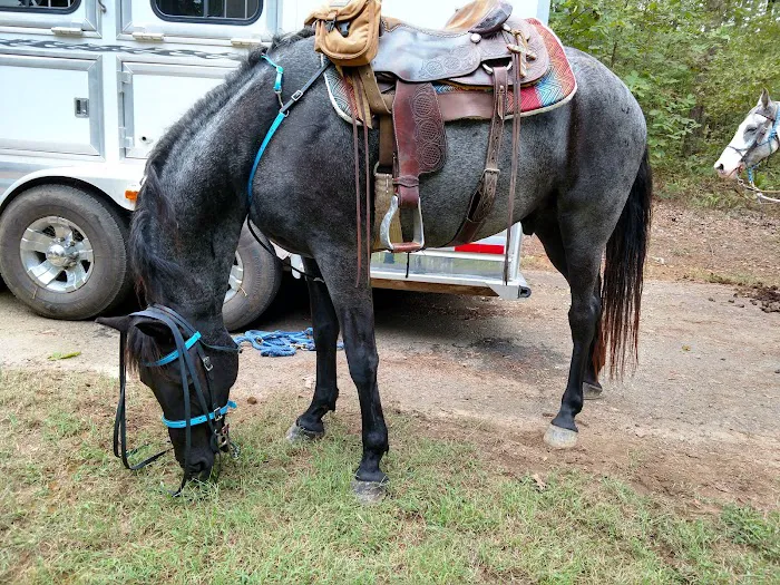 Cedar Lake Equestrian Campground Picture 10