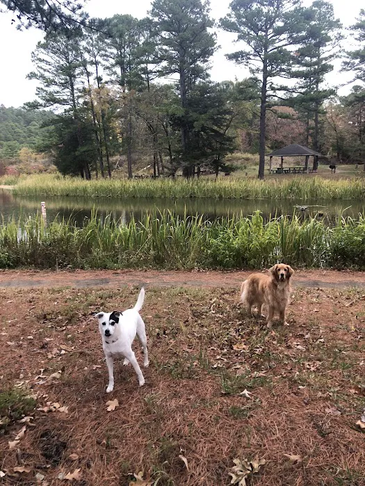 Cedar Lake Recreation Site Picture 6