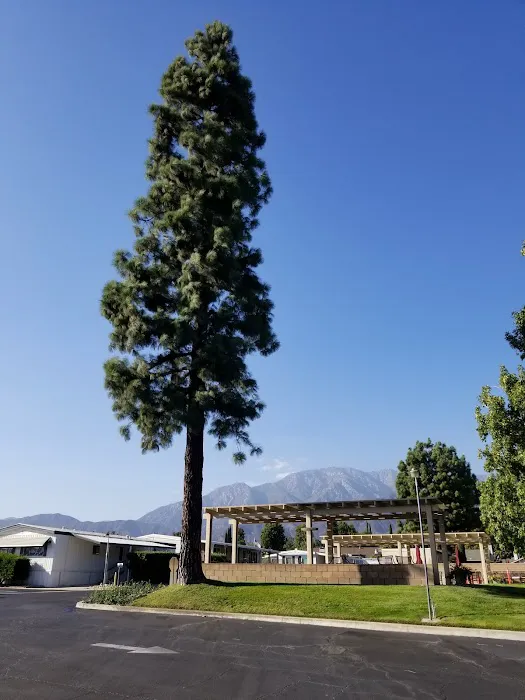 Chaparral Heights Mobile Home Park Picture 7